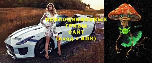 тгк Аркадак