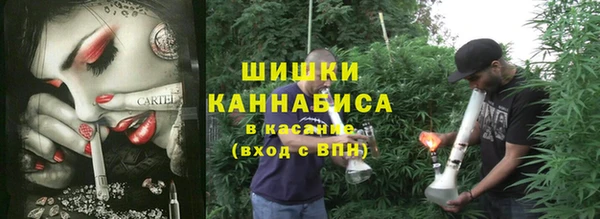 тгк Аркадак